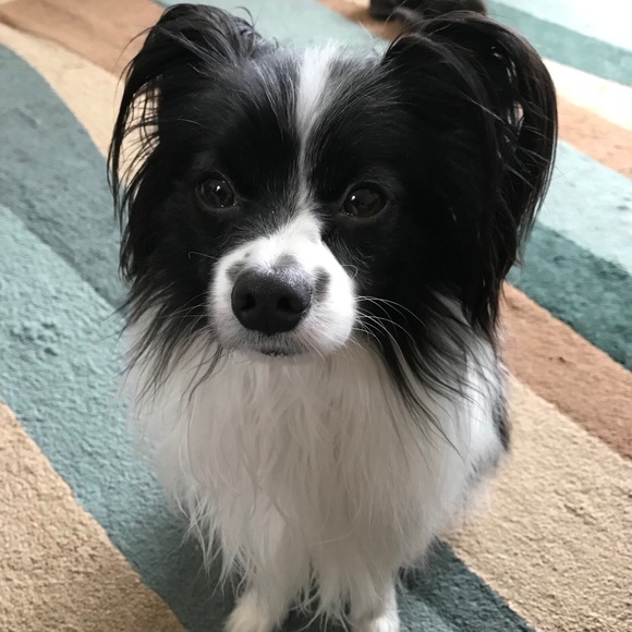 No Smoking allowed! - Picture 3 of 3